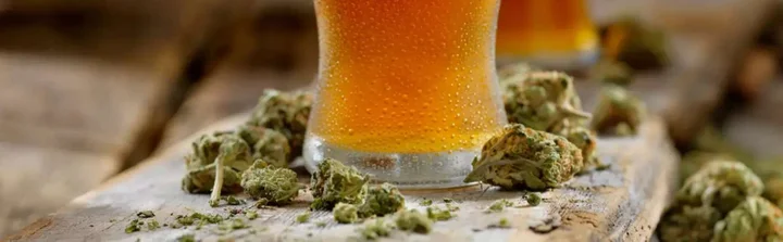 dank ipa cerveza artesanal