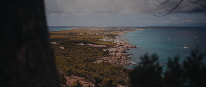 Cabecera - Formentera - Posidonia