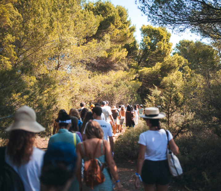 Fomentamos Formentera - Formentera - Posidonia