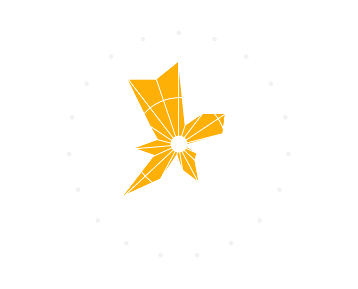 Araña de Percepciones