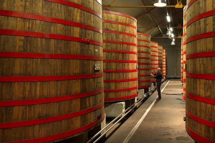cerveza belga flanders red ale