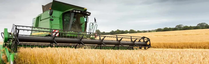 producción cebada europa 2025