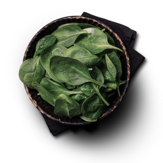 img-pairing-salad-es.png Verduras y Hortalizas